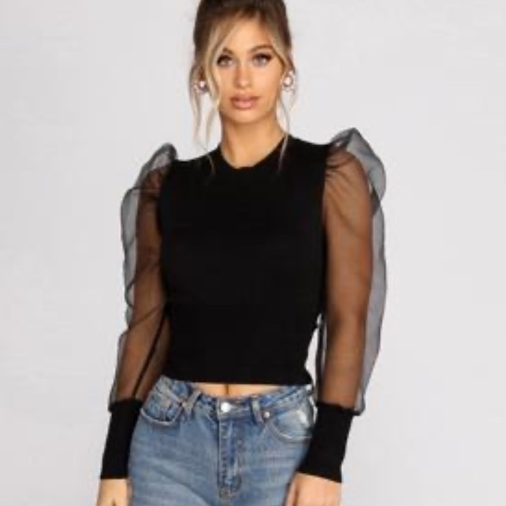 Windsor Sheer and Chic Sweater Crop Top
